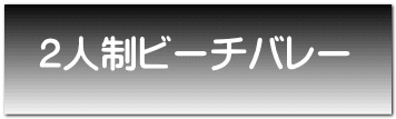 2人制ビーチバレー